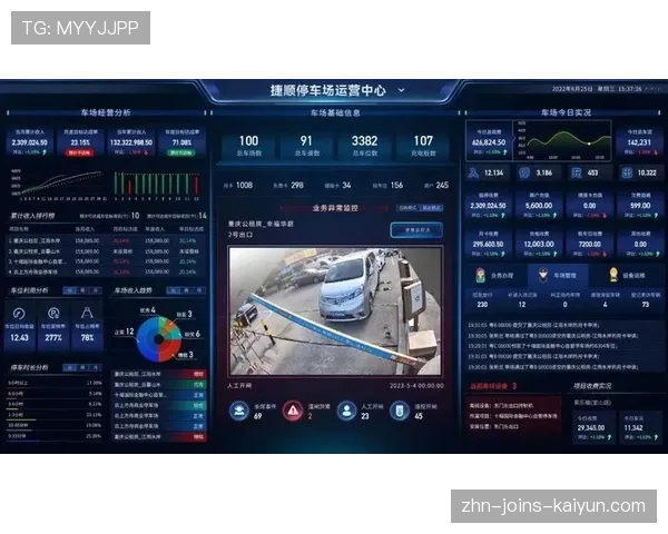 球场智慧停车的节能与收益分配案例研究，智慧停车场投资